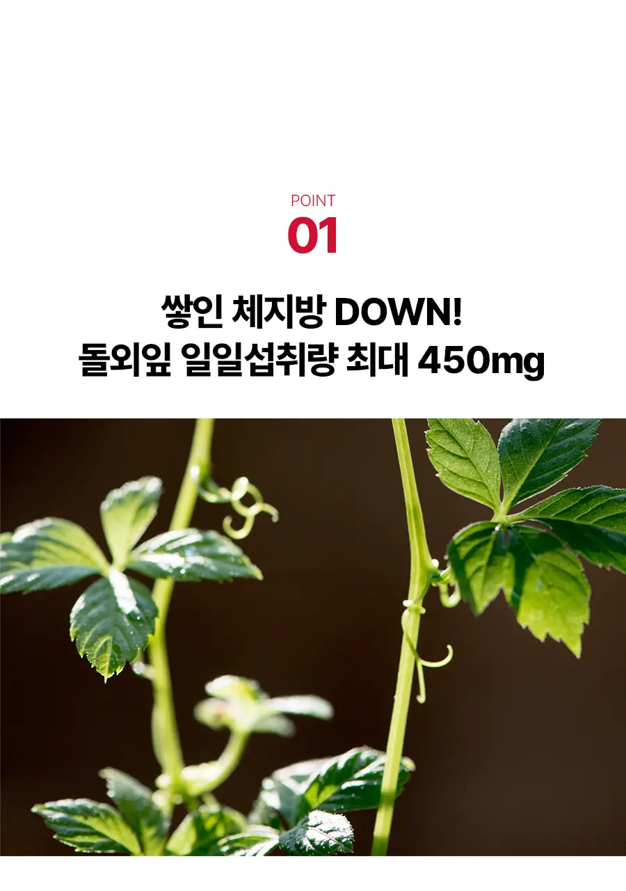 [서현PICK] 콜레올로지 버닝올로지 디데이 3.8g*5포 (5일분) 상세페이지 17
